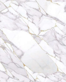 59€ PVC Wandpaneel Marmerlook 122x280x0,3cm - Polygold Roоck