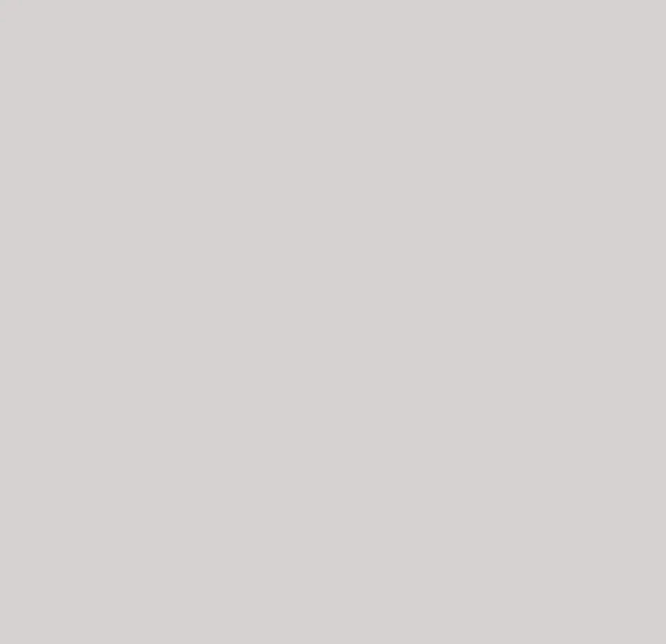 PVC Wandpaneel Effen Light Grey Mat