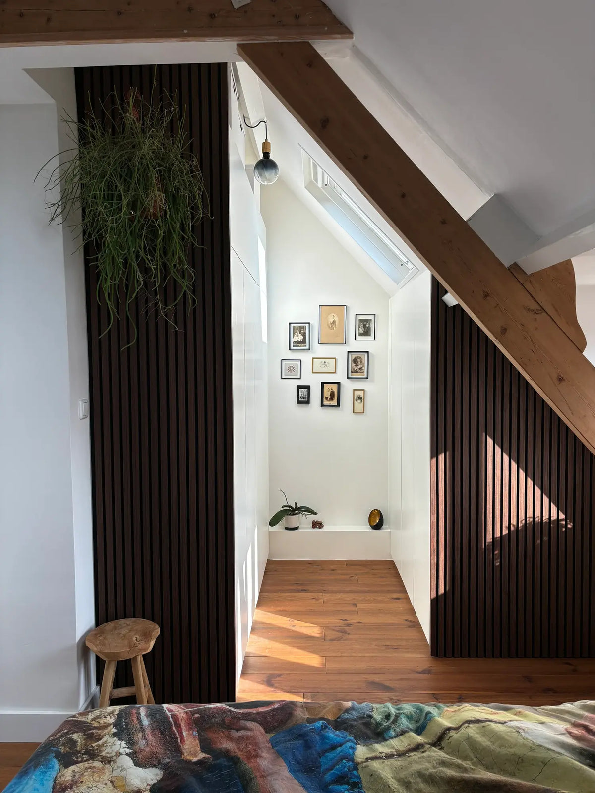 Akoestische Wandpanelen WENGE Lattenwand Met Vilt 260x60