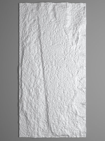 3D Rots wandpaneel | 60x120 cm | Wit