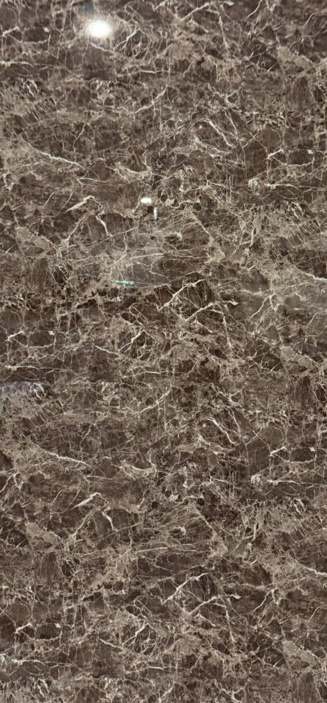 33€ Pvc Wandpaneel 122x280x0,3 cmVivaldi Glossy Brown